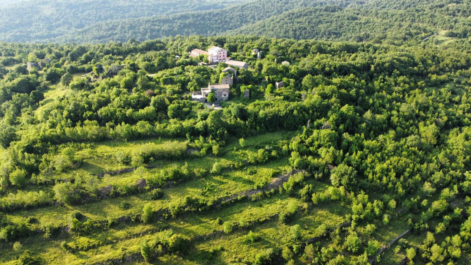 Willa Casa Del Conte - Peaceful Hideaway In North Istria Grožnjan Zewnętrze zdjęcie