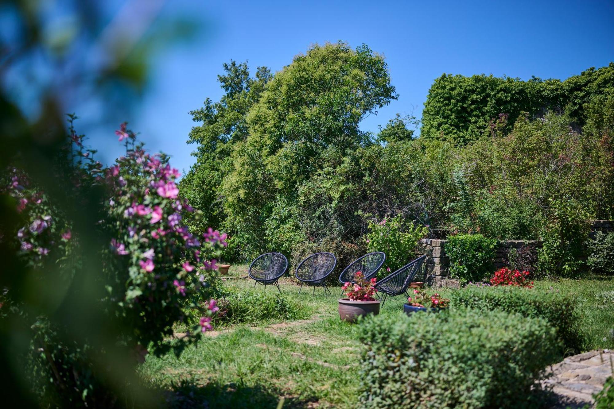 Willa Casa Del Conte - Peaceful Hideaway In North Istria Grožnjan Zewnętrze zdjęcie